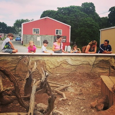 Visit Lancaster County Wildlife Park